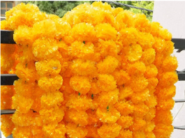 5 feet Marigold Garland (Golden Yellow (Light Orange)) – USA